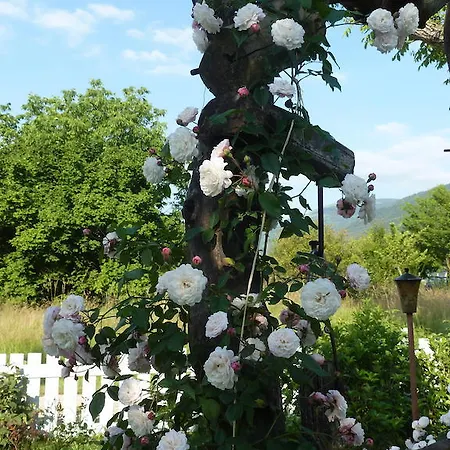 Bed & Breakfast La Cison di Valmarino