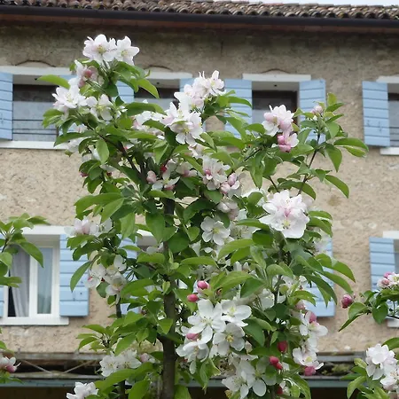 Bed & Breakfast La Cison di Valmarino